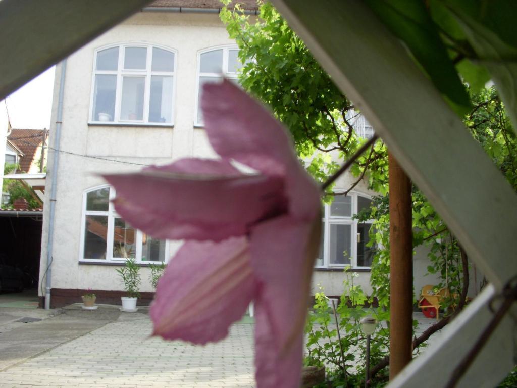 Garden Szivarvany Utcai Vendeghaz 세게드 외부 사진