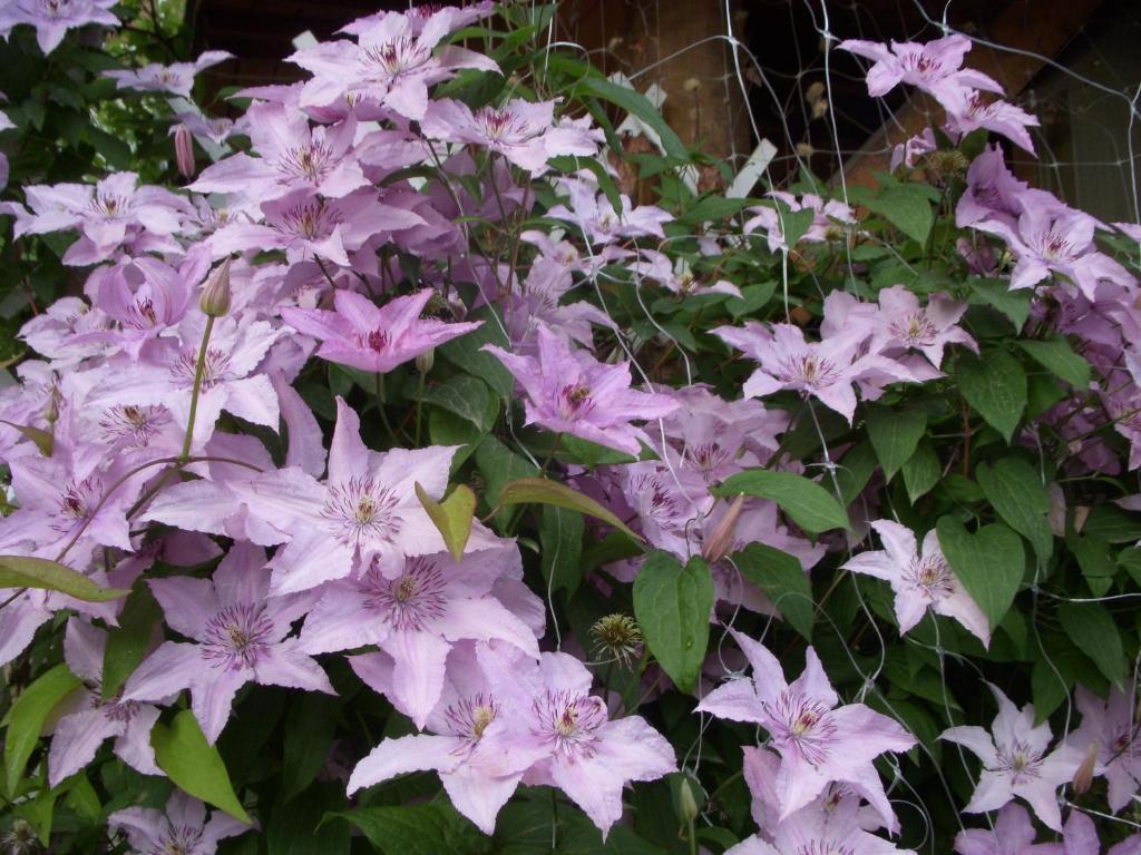 Garden Szivarvany Utcai Vendeghaz 세게드 객실 사진